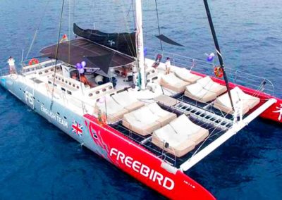 freebird catamaran