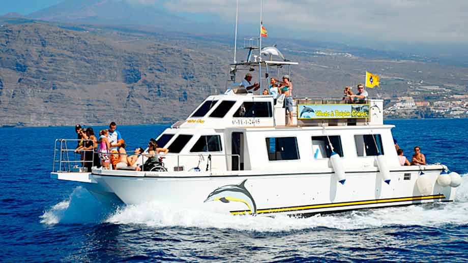 Tenerife Whale Watching Boat Excursions • Tenerife Whale Watching