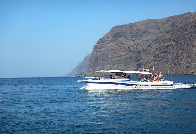Tenerife Whale Watching Boat Excursions • Tenerife Whale Watching