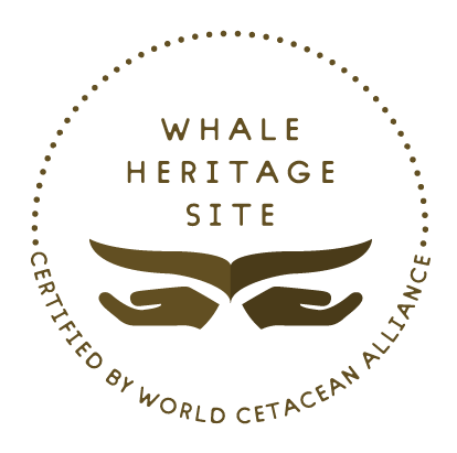 Tenerife Whale Heritage Site
